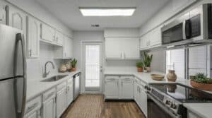 Modern kitchen with white cabinets, stainless steel appliances, potted plants, a woven rug, and a door with blinds leading outside.